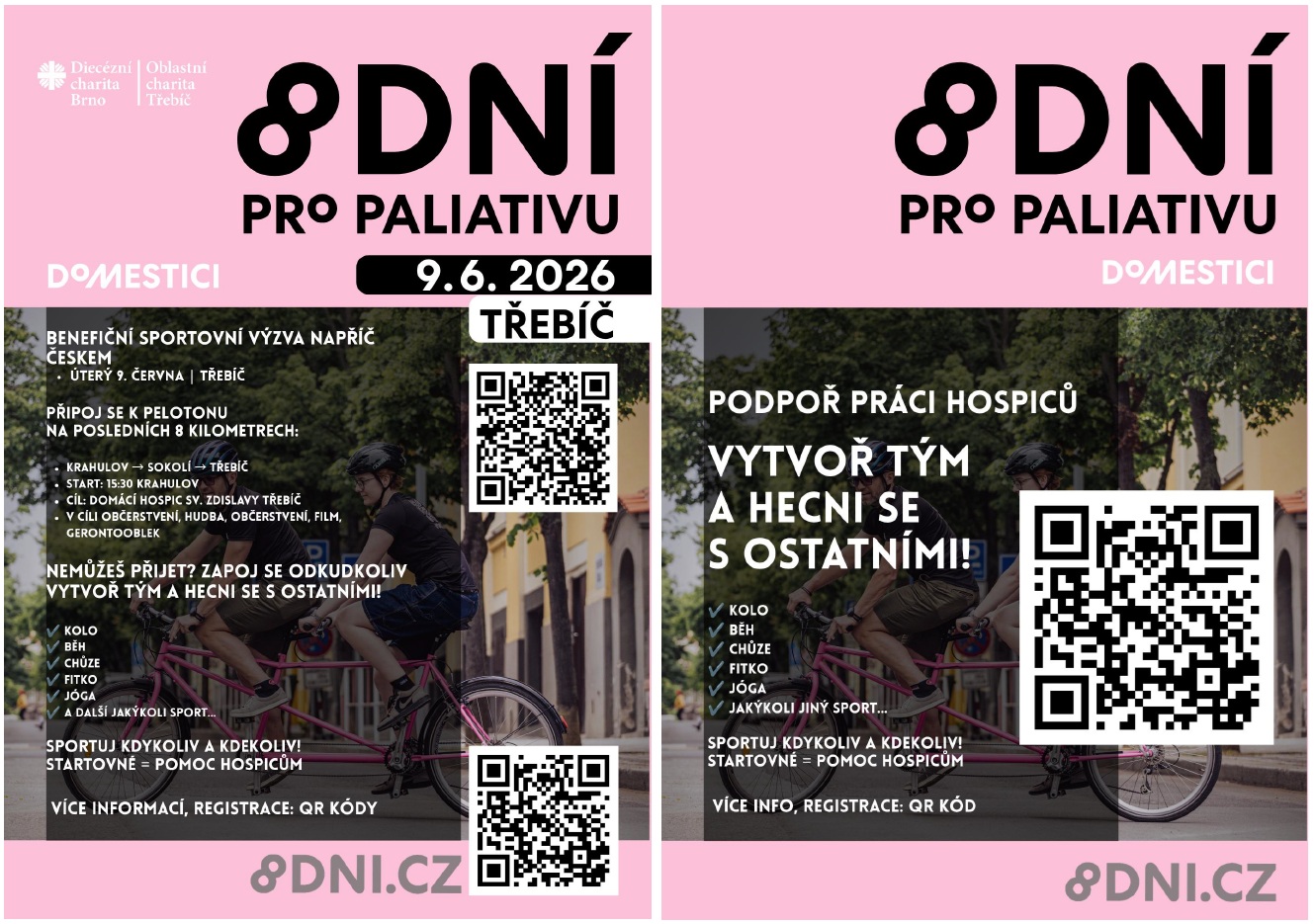 paliativa